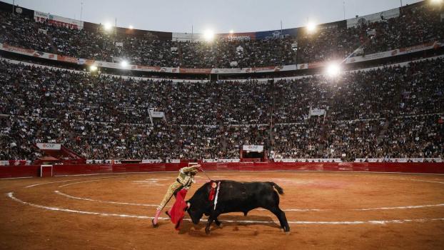 Titulo de la noticia